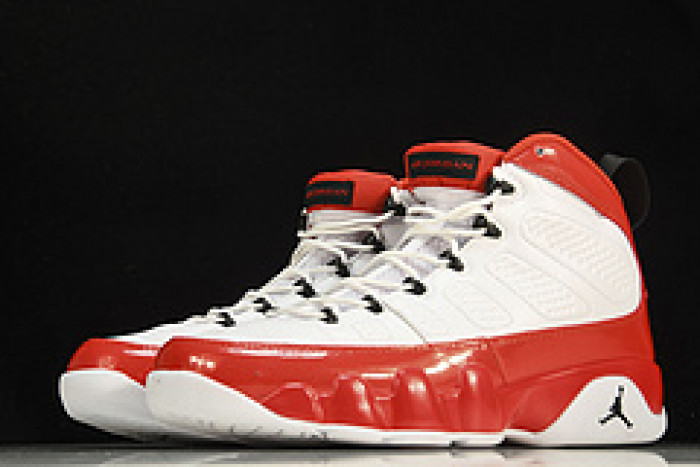 Air Jordan 9 302370-160