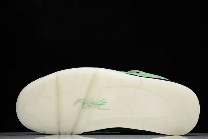 Air Jordan 4 PE green duck  AJ4-904284