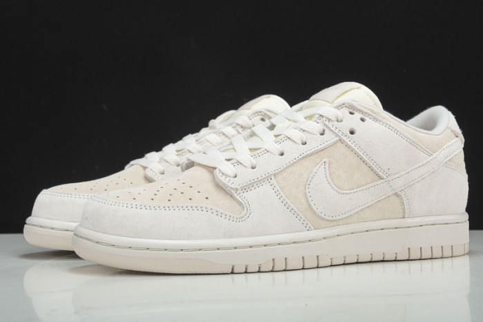Nike Dunk Low Retro  Prm DD8338-001