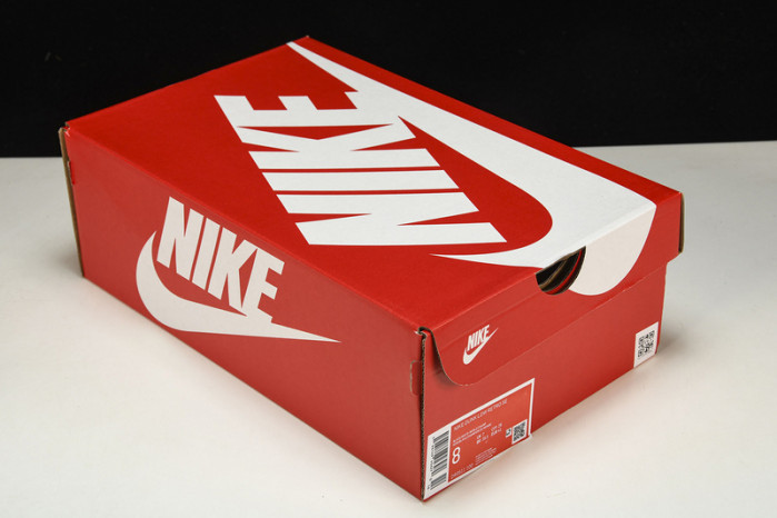 Nike Dunk Low DR9511-100