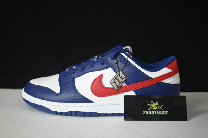 NIKE DUNK LOW DD1503-119